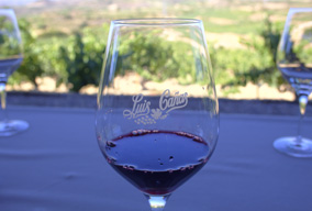 Luis Cañas Winery in Rioja Alavesa